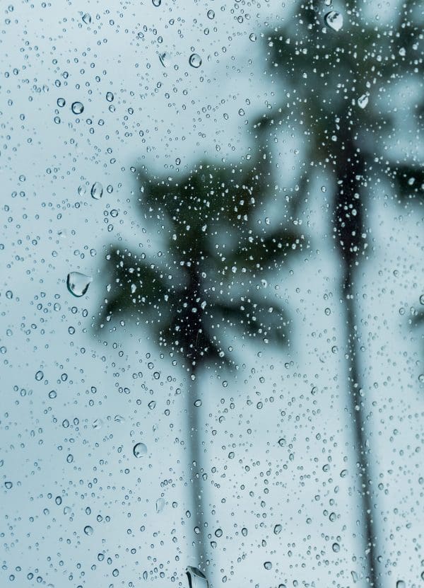 Are you Ready for Winter Protect Your Home this Winter with Tempest Guard